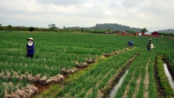 Bộ Tài chính muốn gia hạn thời hạn nộp thuế, tiền thuê đất