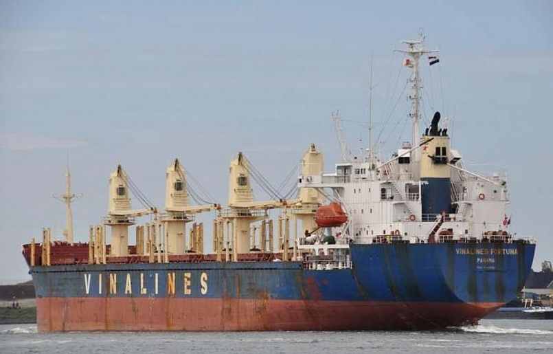 Năm 2021, Vinalines đang lỗ lũy kế hơn 3.168 tỷ đồng