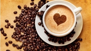 Giá cà phê hôm nay 14/2: Đi ngang