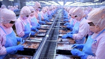 Mỹ bỏ áp thuế chống bán phá giá với tôm Việt Nam