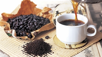 Giá cà phê hôm nay 22/2: Mất 200 đồng/kg