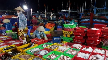 Sau Tết, thủy hải sản tại nhiều địa phương đồng loạt tăng giá