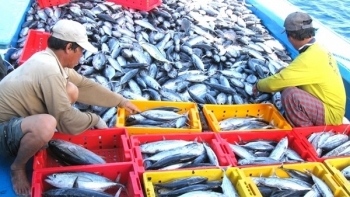 Tháng 1/2021, xuất khẩu thủy sản sang Australia tăng mạnh