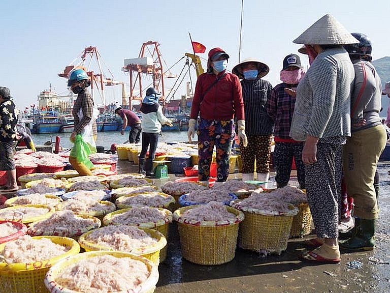 Trúng đậm ruốc biển, ngư dân đón lộc đầu năm