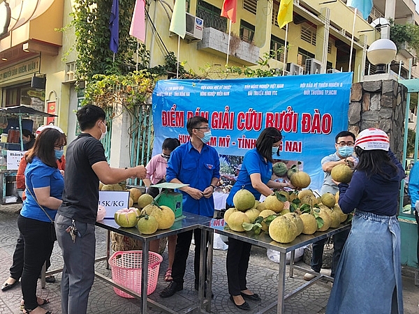 TP Hồ Chí Minh tích cực giải cứu nông sản