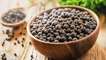 Giá hồ tiêu hôm nay 28/2: Tiếp tục tăng