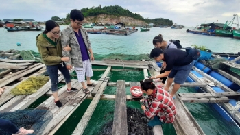 Kiên Giang muốn đầu tư trên 12 nghìn tỷ đồng phát triển nuôi biển bền vững