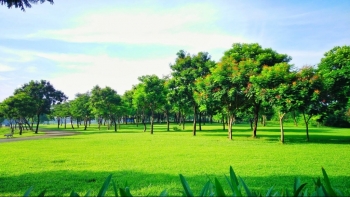 Hải Phòng sẽ dùng đất doanh nghiệp tạm dừng hoạt động làm công viên cây xanh