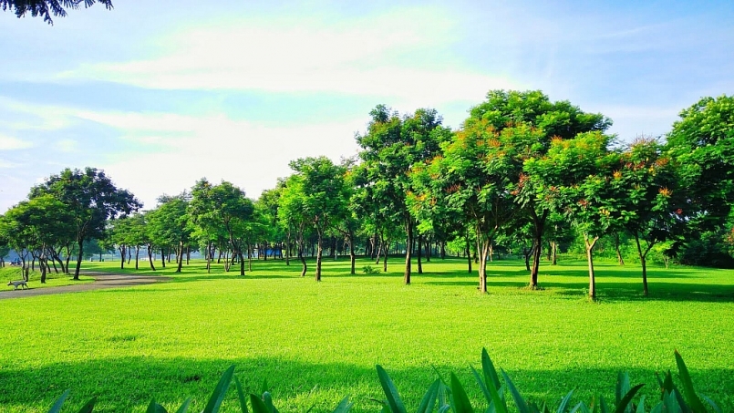 2 tháng đầu năm 2021, xuất khẩu nông - lâm - thủy sản sang Hoa Kỳ tăng 57,3%