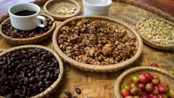 Giá cà phê hôm nay 4/3: Lại xuống giá