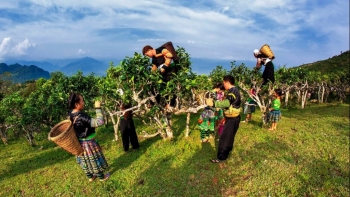 Hà Nội kết nối giao thương - du lịch với Yên Bái