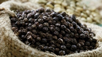 Giá hồ tiêu hôm nay 23/9: Tăng vượt ngưỡng 50.000 đồng/kg