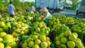 Rộng đường xuất nhập khẩu nhờ Cơ chế một cửa ASEAN