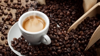 Giá cà phê hôm nay 25/9: Diễn biến tích cực