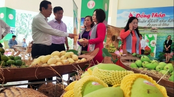 Xuất khẩu khơi thông, 2.000 tấn trái cây sang Mỹ