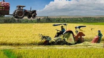 Bà Rịa - Vũng Tàu hỗ trợ người dân phát triển sản xuất