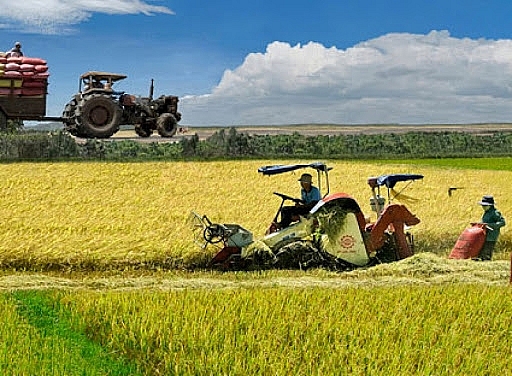 Bà Rịa - Vũng Tàu hỗ trợ người dân phát triển sản xuất