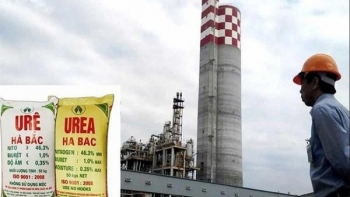 Vinachem lỗ gần 1 nghìn tỷ đồng, kiểm toán quan ngại