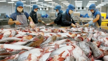 Xuất khẩu sang Israel có thể đạt trên 750 triệu USD trong năm 2020