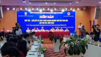Thúc đẩy hợp tác - liên kết - phát triển doanh nghiệp khu vực phía Bắc