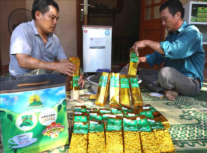 Tạo vùng sản xuất an toàn cho đặc sản miền núi Thanh Hóa