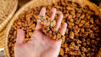 Giá cà phê hôm nay 6/10: Trượt giá