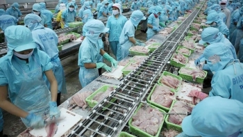 Thủy sản tăng giá, người Khánh Hòa thoát lo