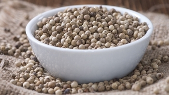 Giá hồ tiêu hôm nay 11/10: Thị trường trong nước chưa biến động