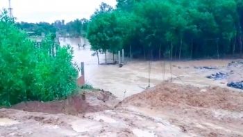 Mưa lớn gây vỡ đập Hóc Bầu - Quảng Nam