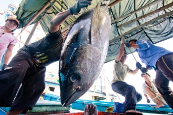 Dỡ bỏ lệnh cấm nhập khẩu cá đánh bắt tự nhiên có nguồn gốc từ Việt Nam