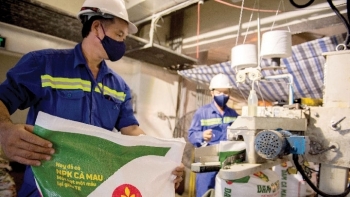 Kiến nghị khấu trừ thuế GTGT đối với đạm Urê: Bộ Tài chính nói gì?