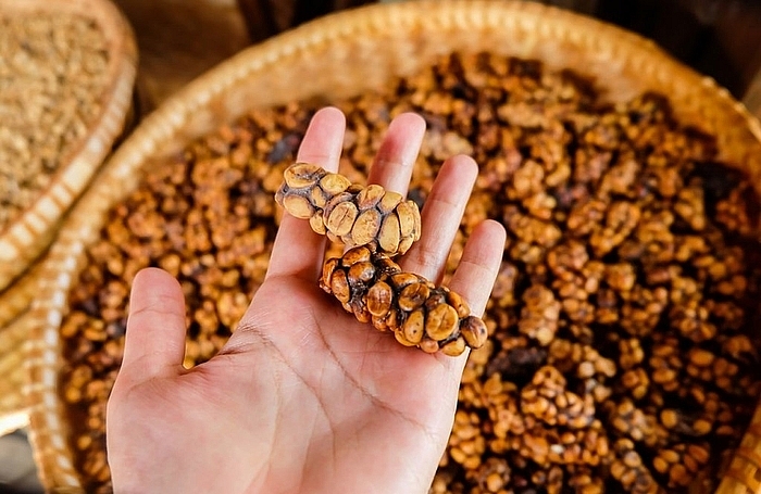 Giá cà phê hôm nay 15/10: Quay đầu tăng mạnh