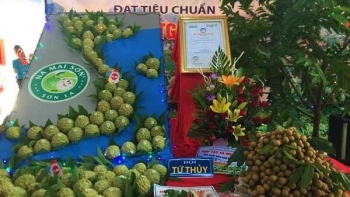 Đặc sản na hoàng hậu Mai Sơn - Sơn La