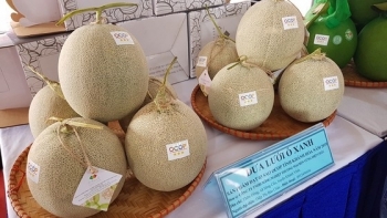 Khánh Hòa tổ chức phiên chợ Tuần nông sản an toàn thực phẩm năm 2020