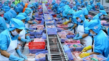 Thủy sản Việt Nam rộng đường vào Đông Âu