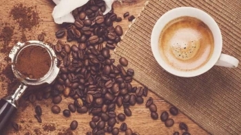 Giá cà phê hôm nay 21/10: Giảm 300 đồng/kg