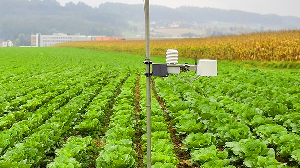 Phát triển nông nghiệp thông minh ở Vĩnh Phúc