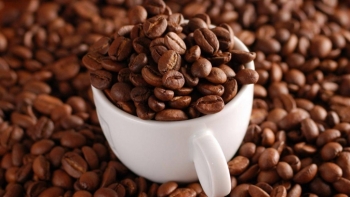 Giá cà phê hôm nay 22/10: Xuống giá