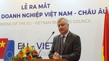 Chính thức ra mắt Hội đồng Doanh nghiệp Việt Nam – châu Âu