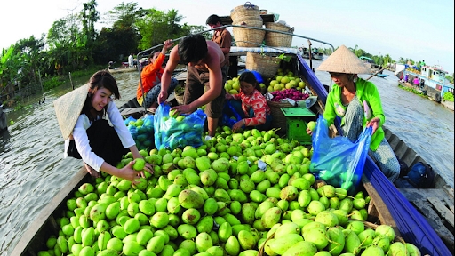 Tái cơ cấu nông nghiệp: Đồng Tháp tập trung phát triển cây ăn quả