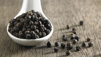 Giá hồ tiêu hôm nay 27/10: Ổn định và có chiều hướng tăng