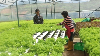 Bộ NN&PTNT tổ chức Tuần lễ Kết nối công nghệ và đổi mới sáng tạo