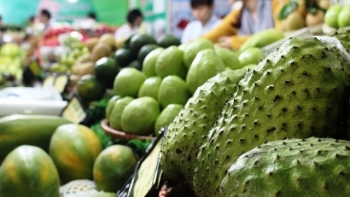 Hải Phòng tổ chức Tháng khuyến mại 2020