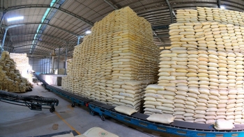 Hết năm 2020, quy mô dự trữ quốc gia đạt khoảng 11.000 tỷ đồng