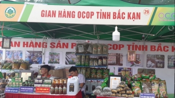 Tổ chức ngày hội nông sản OCOP Bắc Kạn 2020