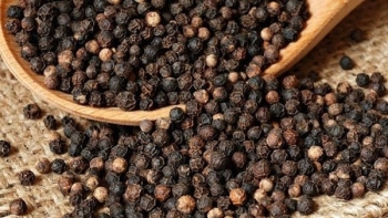 Xuất khẩu hồ tiêu: Diễn biến tích cực từ thị trường Nhật Bản