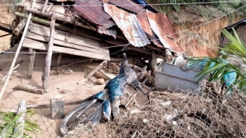 Di dời khẩn cấp cư dân khỏi vùng có nguy cơ sạt lở tại Quảng Ngãi