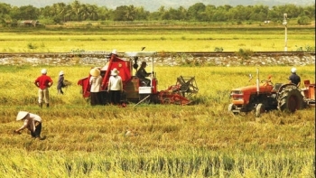 Hòa Bình thúc đẩy phát triển công nghiệp nông thôn tiêu biểu