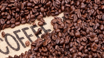 Giá cà phê hôm nay 6/11: Đảo chiều tăng mạnh