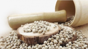 Giá hồ tiêu hôm nay 6/11: Ổn định, cao nhất vẫn 54.000 đồng/kg